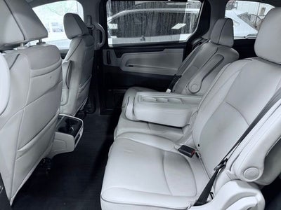 2024 Honda Odyssey Elite