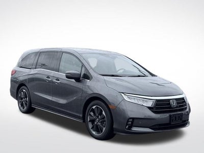 2024 Honda Odyssey Elite