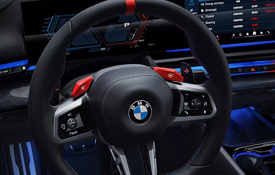 Close-up view of BMW M5 Touring steering wheel. | Zeigler BMW in Kalamazoo MI